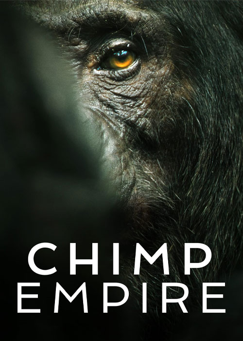مستند امپراتوری شامپانزه ها Chimp Empire 2023