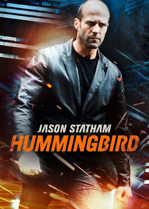 دانلود فیلم مرغ مگس خوار Hummingbird 2013