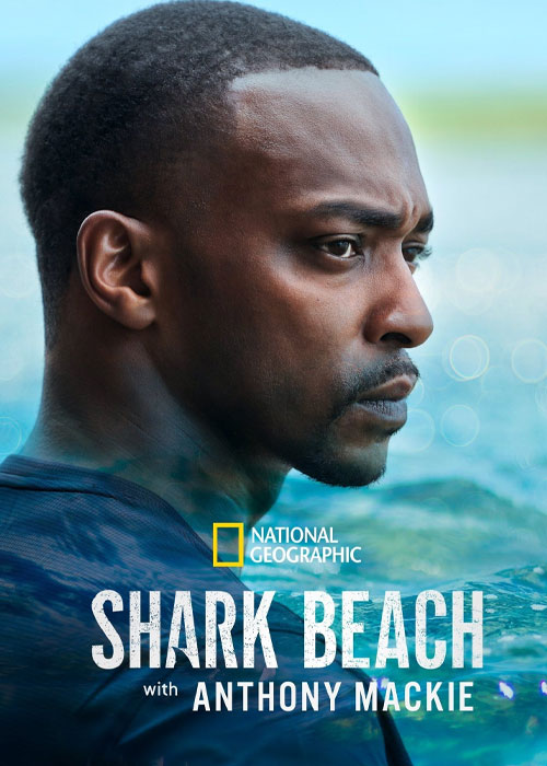 دانلود مستند Shark Beach with Anthony Mackie 2024